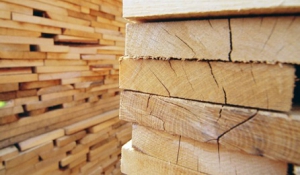 انواع چوب نرم