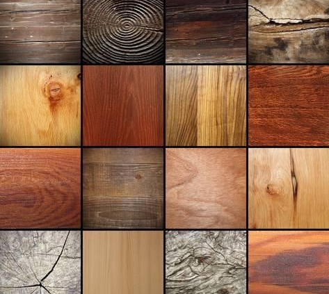 انواع چوب و کاربرد آنها