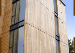 چوب ترمو در ساختمان های اداری چه کاربردهایی دارد؟